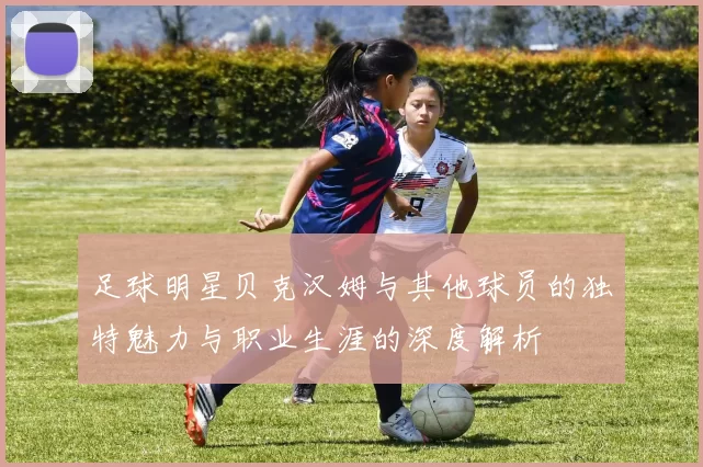 足球明星贝克汉姆与其他球员的独特魅力与职业生涯的深度解析