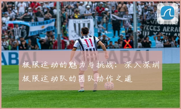 极限运动的魅力与挑战：深入深圳极限运动队的团队协作之道