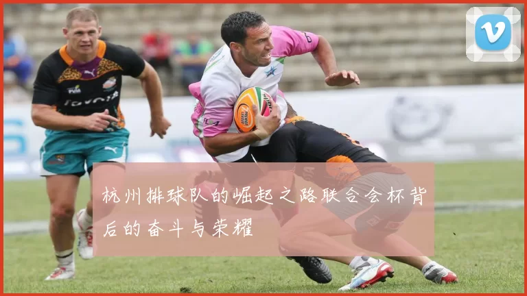 杭州排球队的崛起之路联合会杯背后的奋斗与荣耀