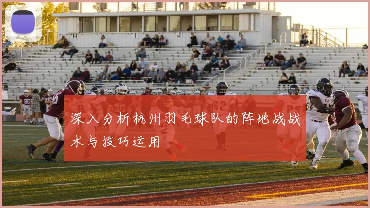 深入分析杭州羽毛球队的阵地战战术与技巧运用