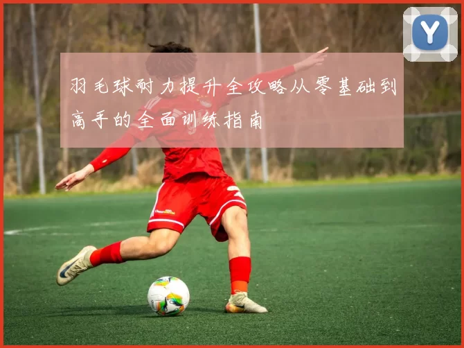 羽毛球耐力提升全攻略从零基础到高手的全面训练指南