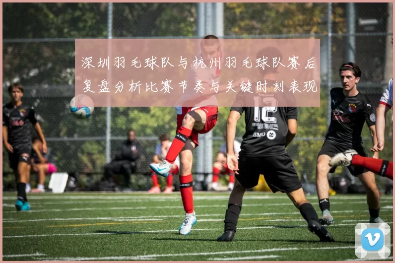 深圳羽毛球队与杭州羽毛球队赛后复盘分析比赛节奏与关键时刻表现