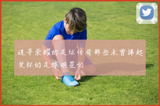 追寻荣耀的足坛传奇那些未曾捧起奖杯的足球明星们