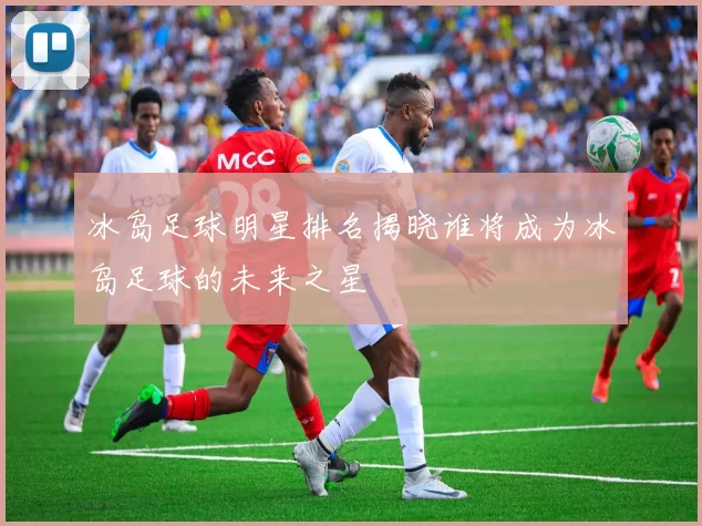 冰岛足球明星排名揭晓谁将成为冰岛足球的未来之星